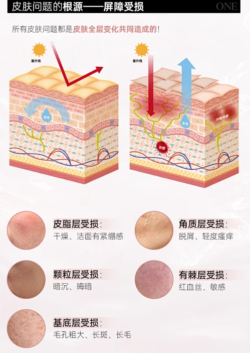 f8c8cf01610bd34b37126f8df6ad211744add6f1127194-8CiE1E_fw658webp_副本.png